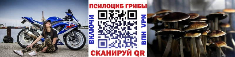 Псилоцибиновые грибы Psilocybine cubensis  Пыть-Ях 